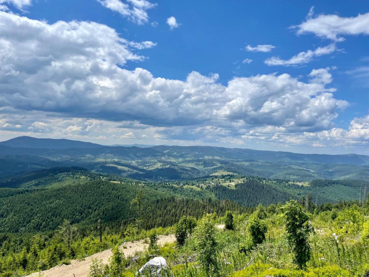 Vedmid Otel Myslovka Dış mekan fotoğraf