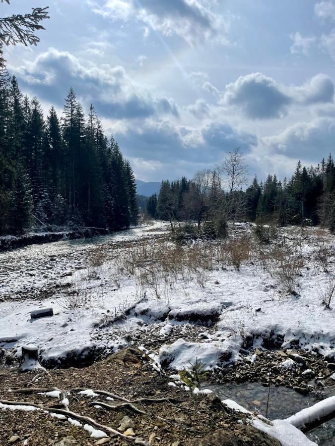 Vedmid Otel Myslovka Dış mekan fotoğraf
